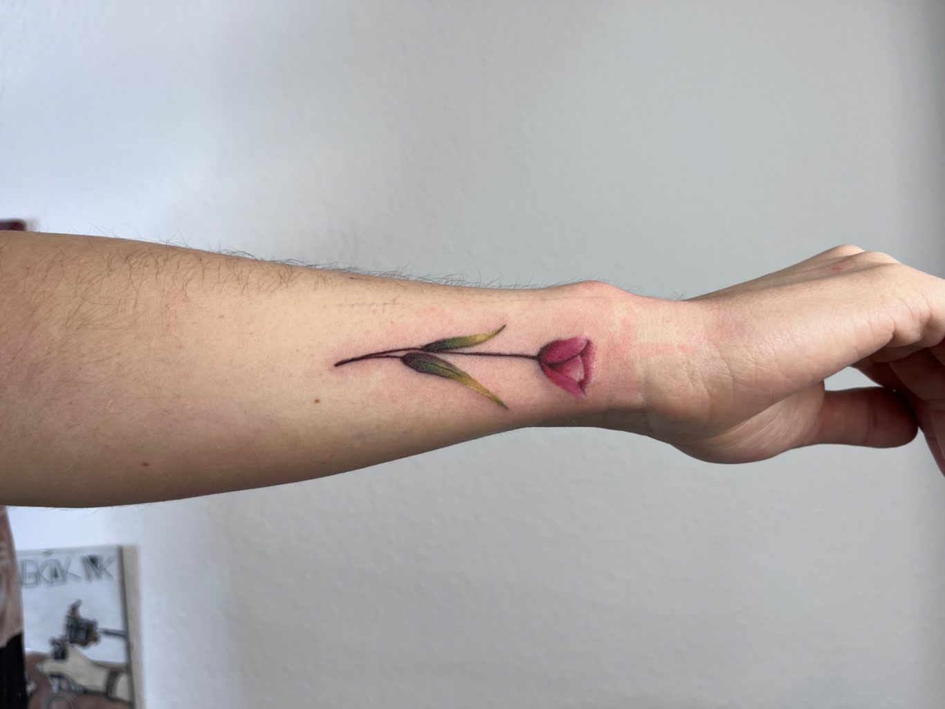 colortattoo Colortattoo